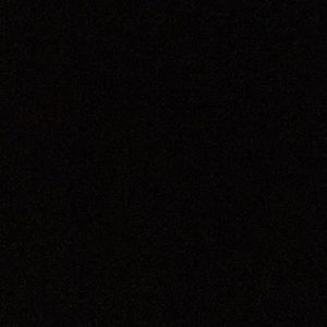 Meet your Posher, Lorrie